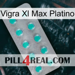 Vigra Xl Max Platinum 28